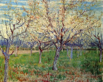  blossom Oil Painting - Orchard with Blossoming Apricot Trees Vincent van Gogh